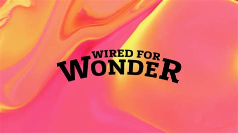 Wired Wonders Image